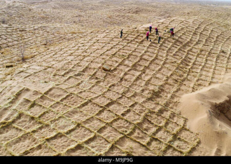 «فیزیکِ فولاد» به نجاتِ «بیابان» می‌آید؛ فرمول فراموش‌ شده‌ای که می‌تواند بدون آب و برق، گلویِ کانون‌های ریزگرد خوزستان را بفشارد