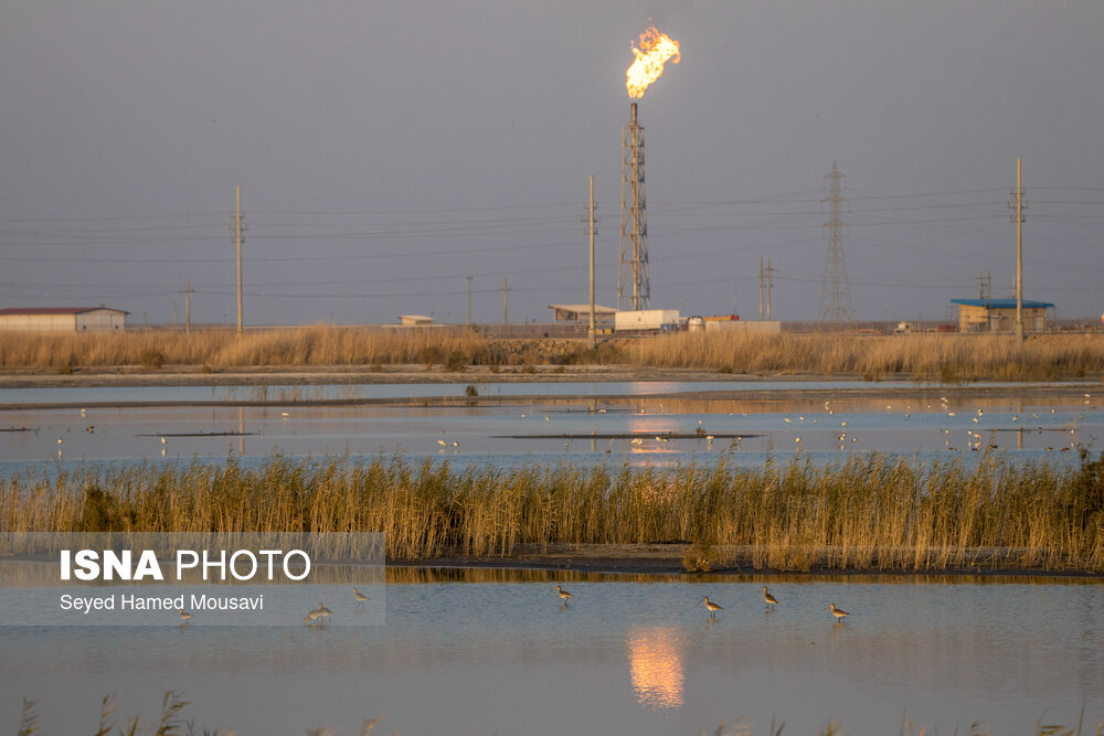 هوای ۱۲ شهر خوزستان در وضعیت «قرمز» و «نارنجی»