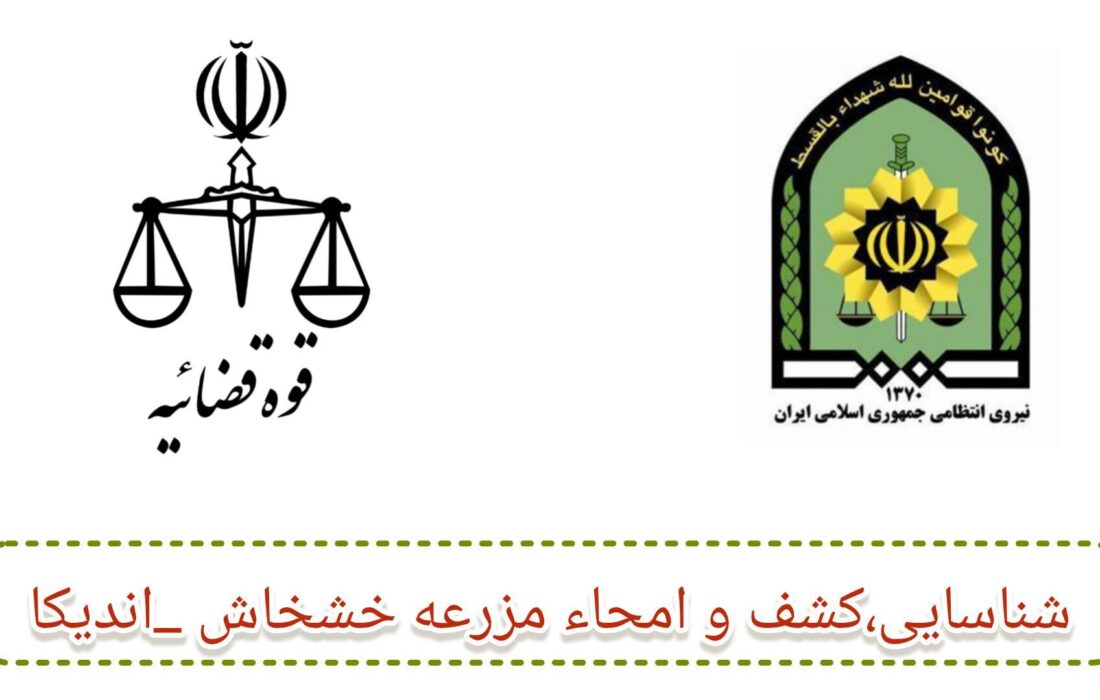 سجاد میر چناری دادستان عمومی و انقلاب شهرستان اندیکا خبر داد: شبیخون پلیس به مزارع خشخاش در ارتفاعات اندیکا/ ۱۱۲ هزار بوته خشخاش پیش از برداشت نابود شد