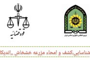 سجاد میر چناری دادستان عمومی و انقلاب شهرستان اندیکا خبر داد: شبیخون پلیس به مزارع خشخاش در ارتفاعات اندیکا/ ۱۱۲ هزار بوته خشخاش پیش از برداشت نابود شد
