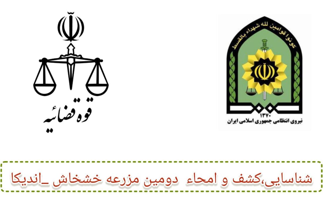 سجاد میرچناری دادستان اندیکا خبر داد: ضربه مهلک دادستانی به سوداگران مرگ در اندیکا/ امحاء بیش از ۲ میلیون بوته خشخاش در مزارع مخفی