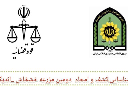 سجاد میرچناری دادستان اندیکا خبر داد: ضربه مهلک دادستانی به سوداگران مرگ در اندیکا/ امحاء بیش از ۲ میلیون بوته خشخاش در مزارع مخفی
