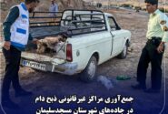  میثاق کریمی پاکدامن رییس اداره دامپزشکی مسجدسلیمان خبر داد :بازداشت متخلفان ذبح غیرمجاز دام در مسجدسلیمان؛ جمع‌آوری بساط کشتارگاه‌های حاشیه جاده