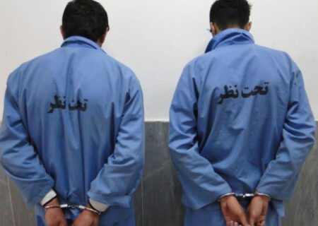 سرهنگ علی عباسی فرمانده انتظامی شهرستان مسجدسلیمان از شناسایی و دستگیری عاملان سرقت از اماکن دولتی در مسجدسلیمان خبر داد
