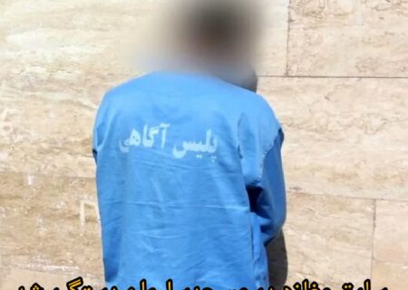 سرهنگ علی عباسی فرمانده انتظامی شهرستان مسجدسلیمان از دستگیری سارق مغازه خبر داد
